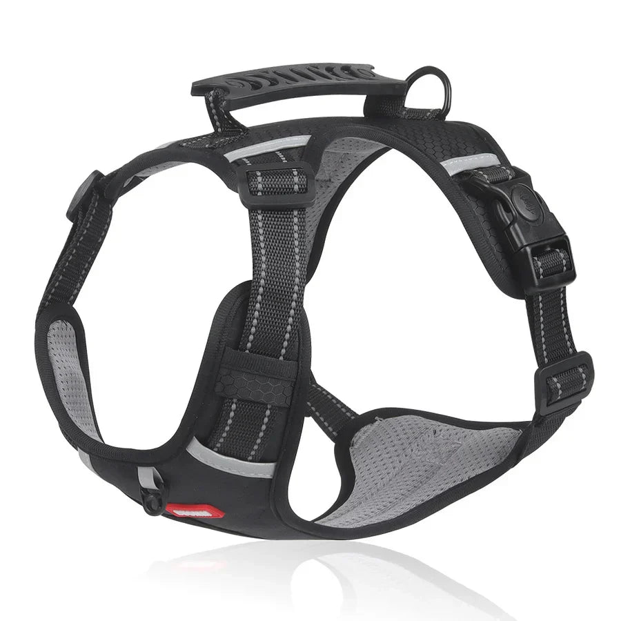 Product Image for Sandsberg | Robuuste & Comfortabele Hondentuig - ActivePup , Schwarz / M
