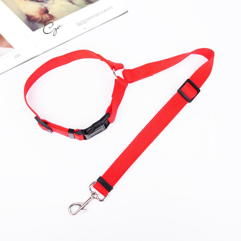 Product Image for Verstellbare Hundeleine für das Auto, rot / 1 Stk