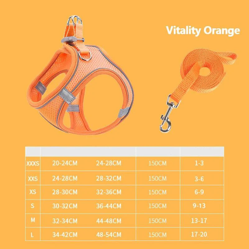Product Image for Sandsberg | Reflective Adjustable Pet Harness and Leash Set - Breathable Vest für Kleine bis Mittlere Hunde und Katzen, Oranje Sets / S(4.5-6.5kg)