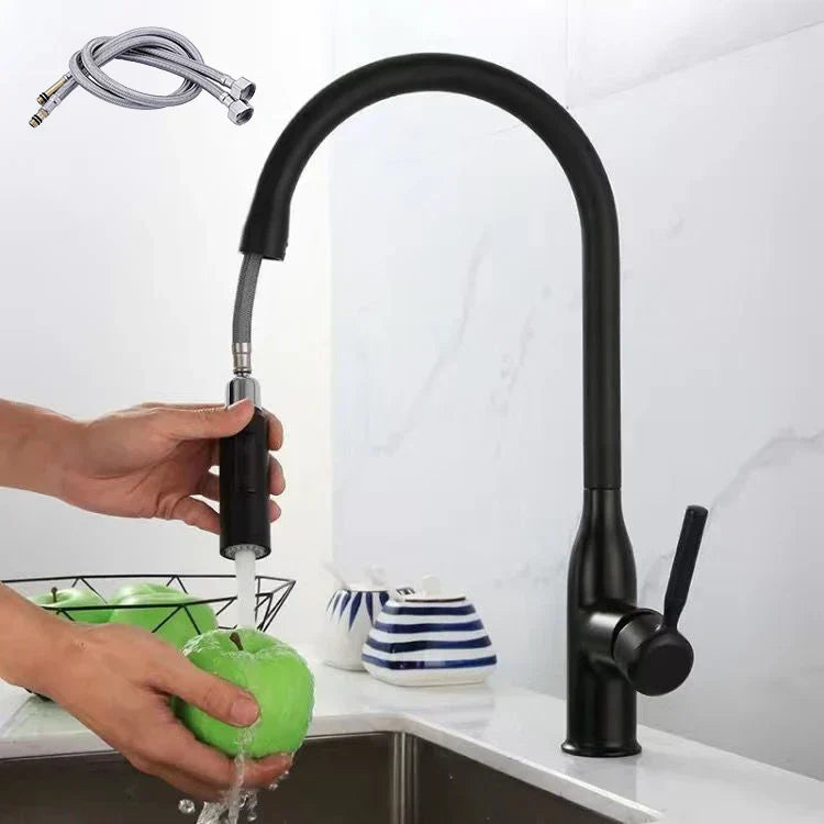 Product Image for SteelFlow Küchenarmatur - Modern ausziehbare Designarmatur, Schwarz mit Schlange