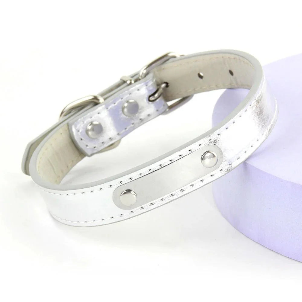 Product Image for Sandsberg | Glamoureuze Gepersonaliseerde Gegraveerde Leren Hondenhalsband met Sprankelende Accenten, Silber2 / S