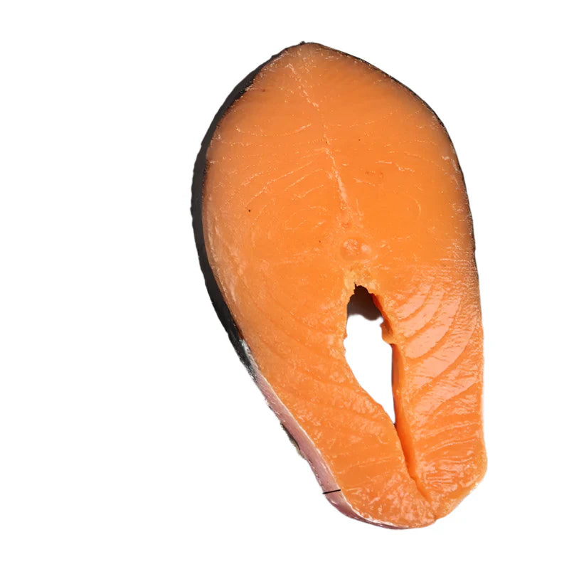 Product Image for Sandsberg | Levensechte Sushi Replica Collectie - Zalm en Tonijn Modellen voor Huisdecoratie en Fotografie, 19.8x11x1.5cm / M