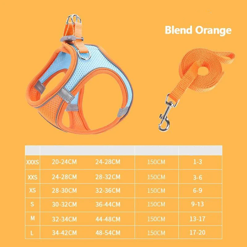 Product Image for Sandsberg | Reflective Adjustable Pet Harness and Leash Set - Breathable Vest für Kleine bis Mittlere Hunde und Katzen, blend orange Sets / M(6.5-