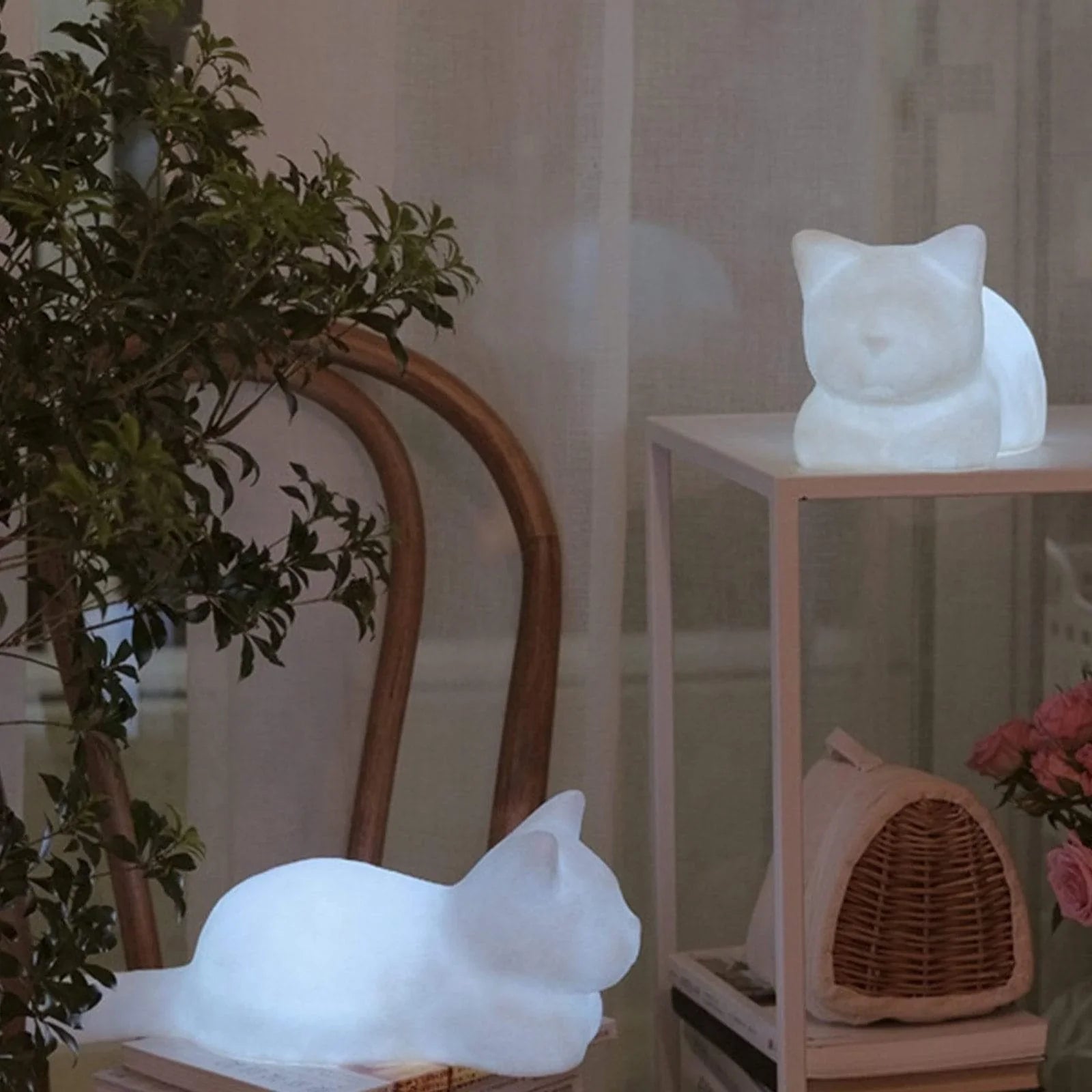 Product Image for Sandsberg | Soft Glow Katzenlicht