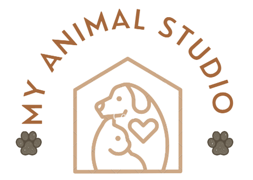 My Animal Studio