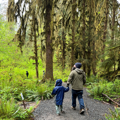 a child in a blue jacket holds her fathers hand as they walk on a damp gravelly path through a rainforest of vibrant greens and stark browns.