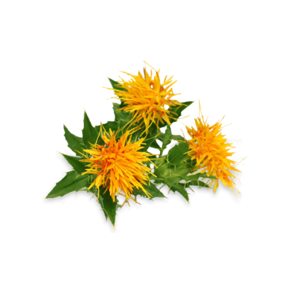 High Oleic Safflower Oil