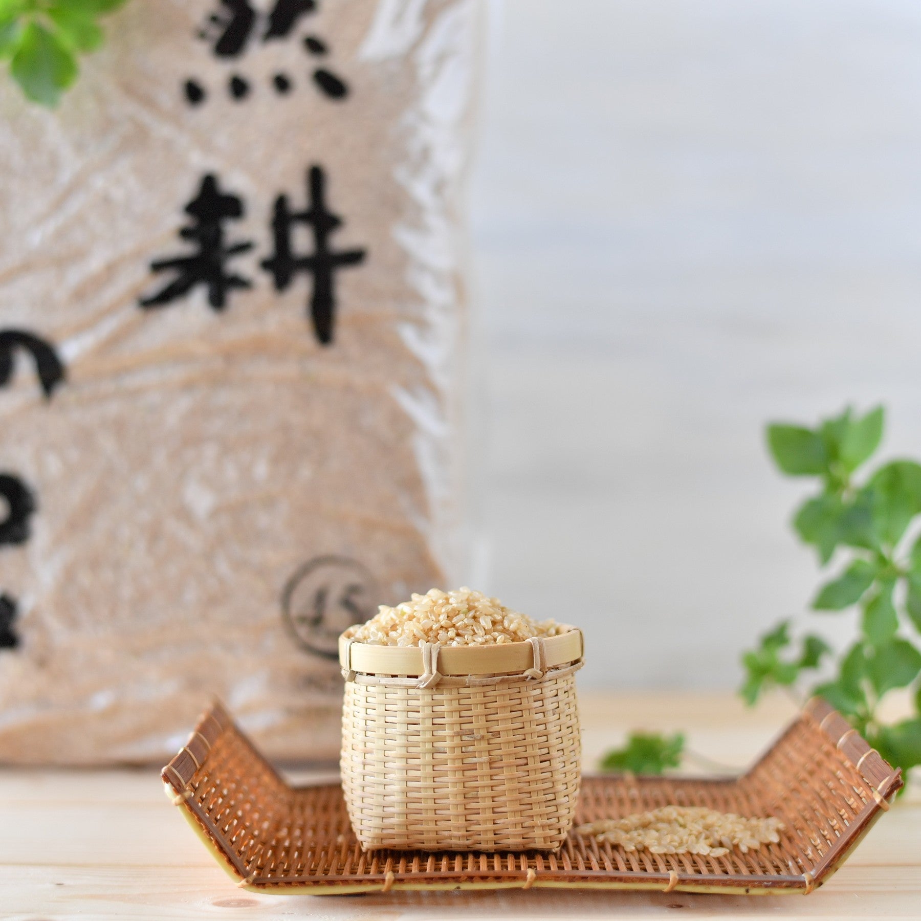 クク様専用 農薬無し純こしひかり30㎏ 玄米 日本人気超絶の 9792円