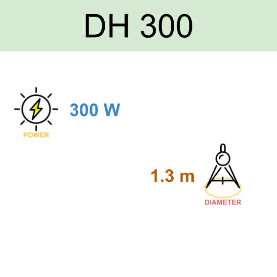300W Horizontal Axis Wind Turbine DH 300