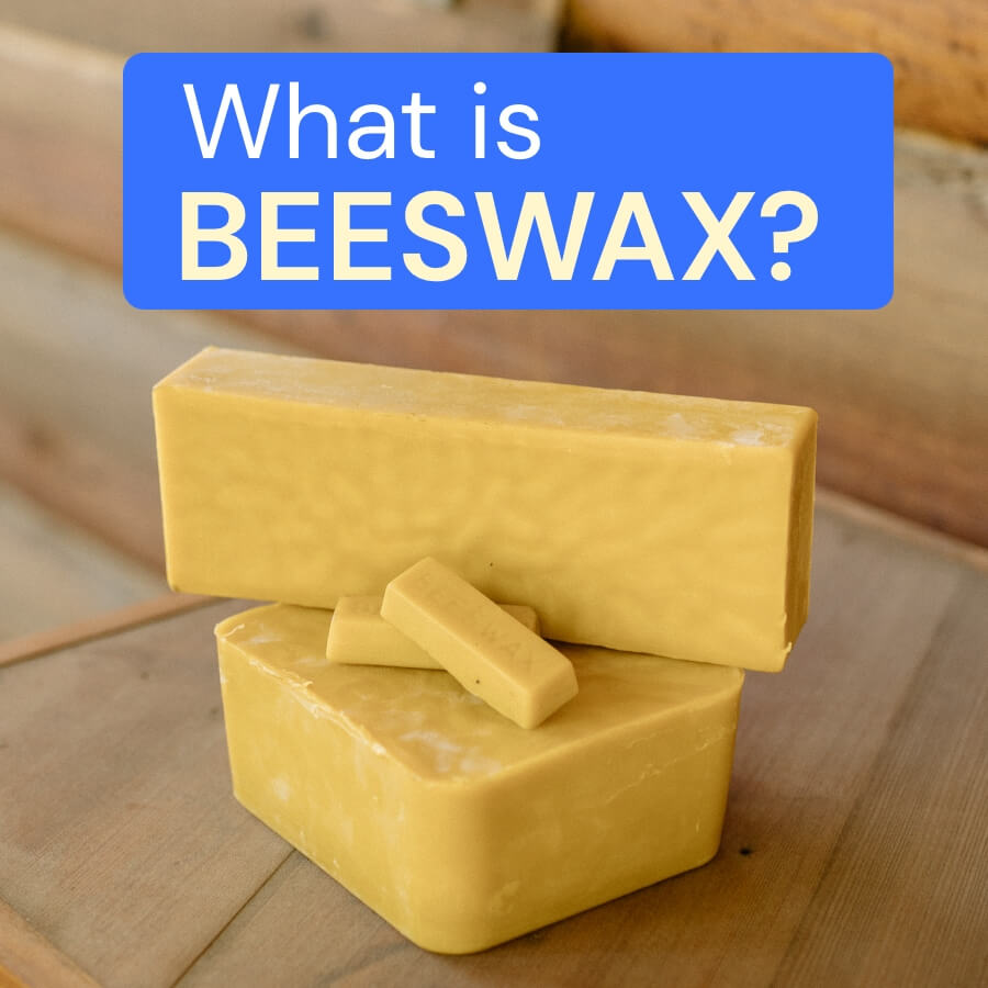 What is Beeswax? Is Beeswax Edible? (Beeswax FAQs) Sperry Beeswax