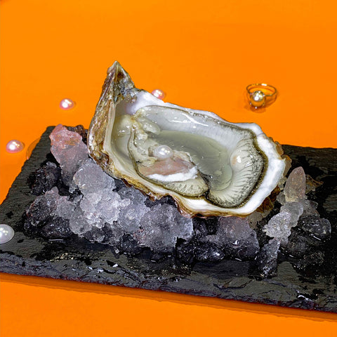Zinc rich oysters - The Good Stuff Online Health Shop