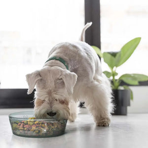 Toby Recycled Glass Bowl 9" Diameter - Earth Kind Market