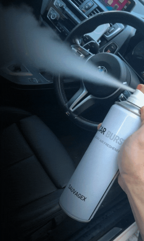 Car Burst Car Air Freshener