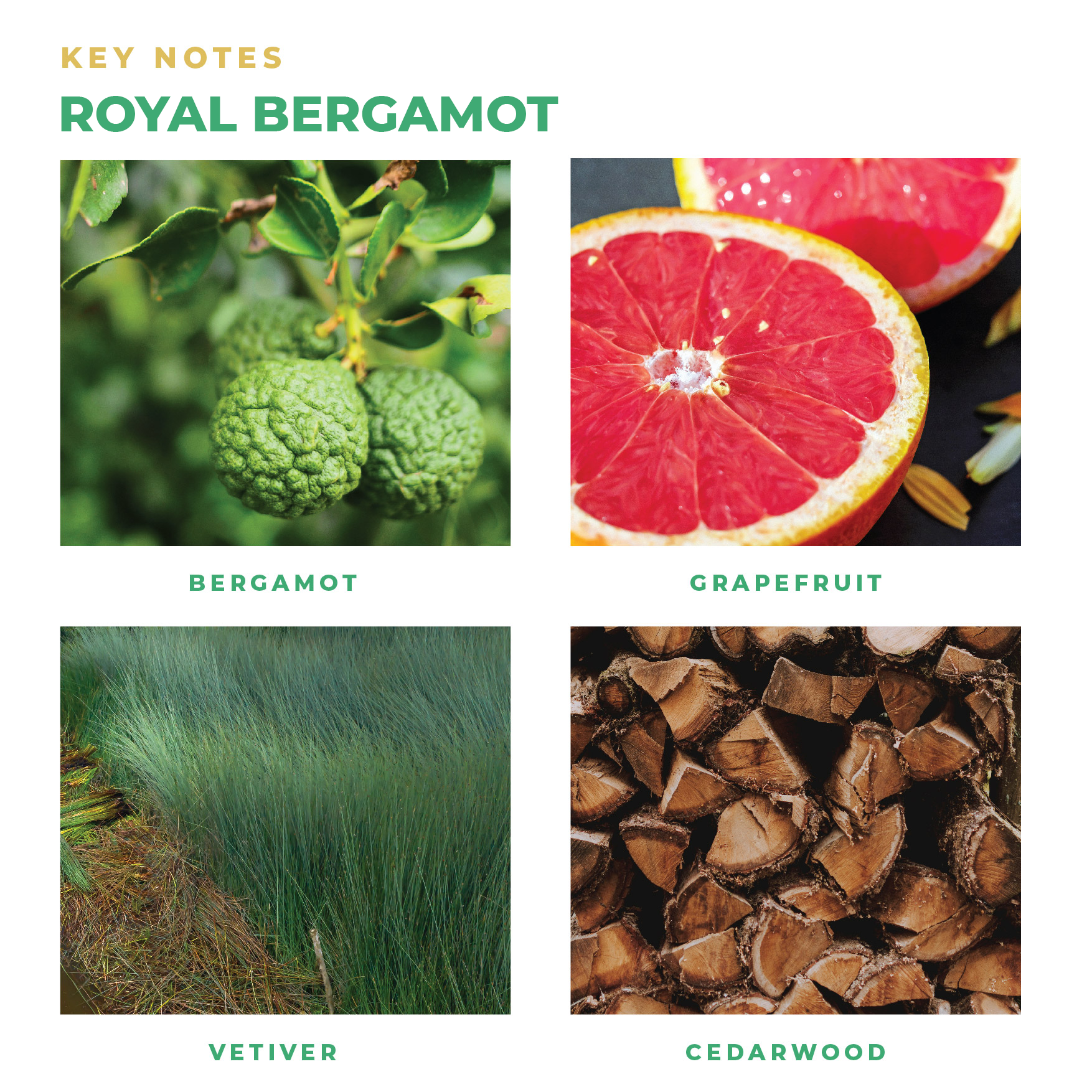 https://cdn.shopify.com/s/files/1/0647/2122/3901/files/ROYAL_BERGAMOT_MARSEILLE_HAND_SOAP.png?v=1669368772