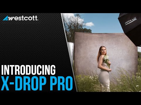 ProBlack Infinity Pro Cloth Backdrop