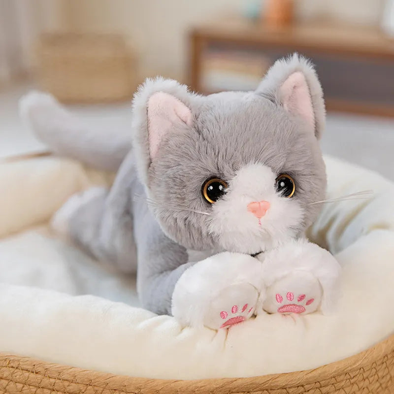 Peluche de Gato