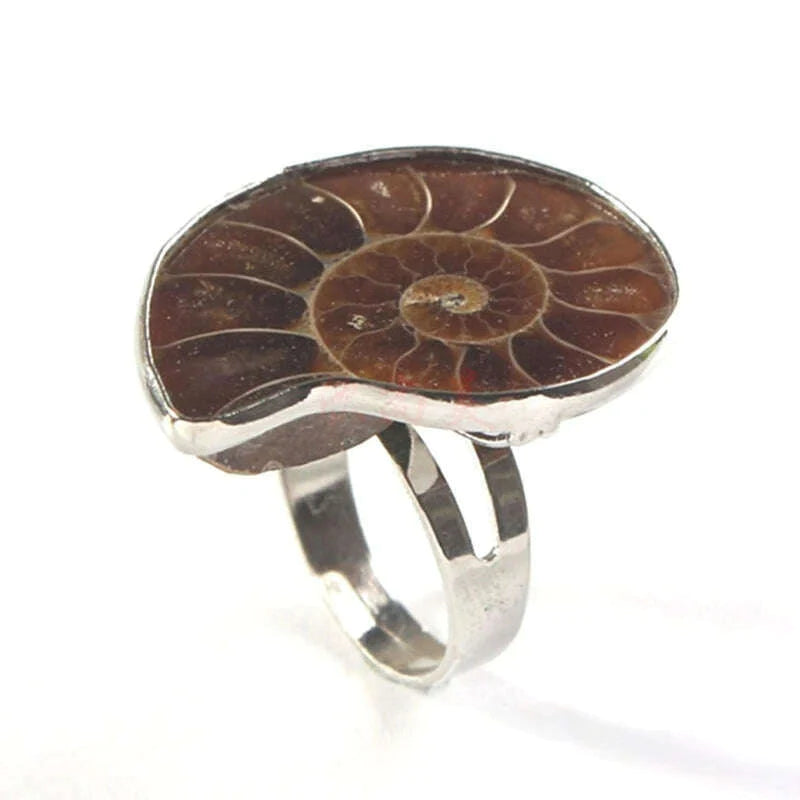 Unique Adjustable Ring Fashion Natural Ammonite Reliquiae-Finger Ring Jewelry Natural Fossil-Shell-Ring Women Girl Teen