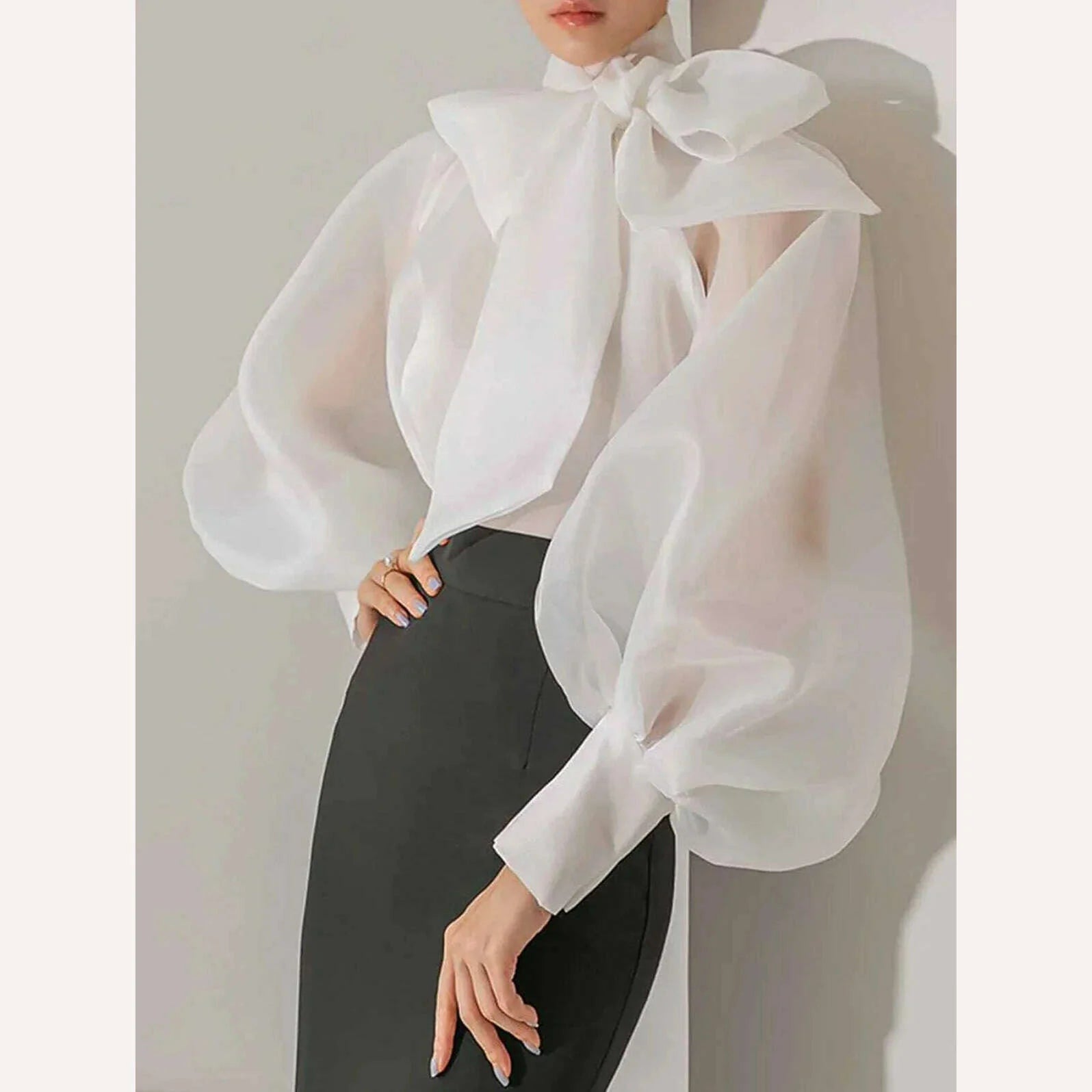 Women's Elegant Lantern Sleeve Shirt Chiffon Transparent Long Sleeve Sweet Lace-up Neck Polk Dot Casual Fashion Autumn Shirts