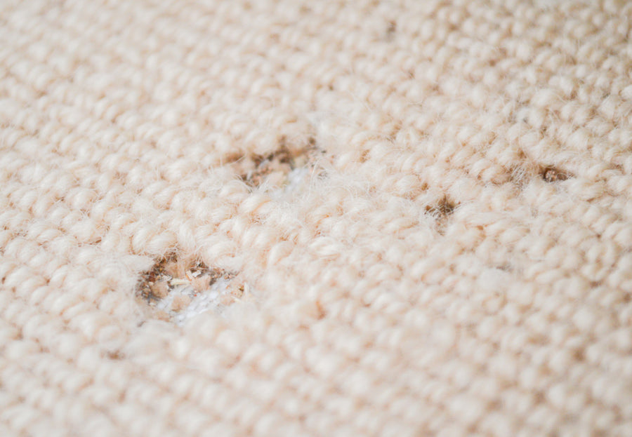 What is Eating My Carpet? | Total Wardrobe Care
