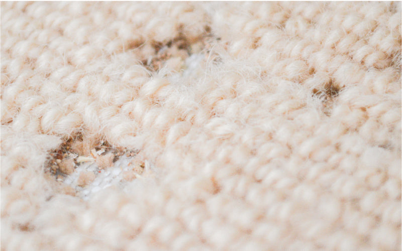 Holes in cream carpet made by carpet moths | Total Wardrobe Care