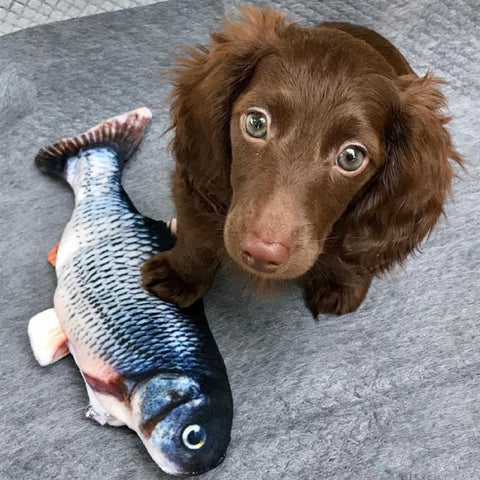 The FLOPPY FISH™ Interactive Toy for Dogs (50% OFF Today)