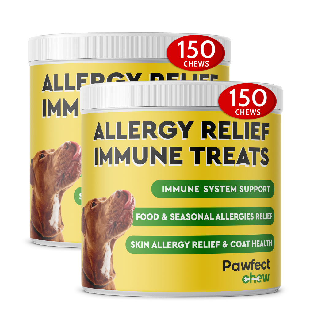 can you give allergy medicine to dogs