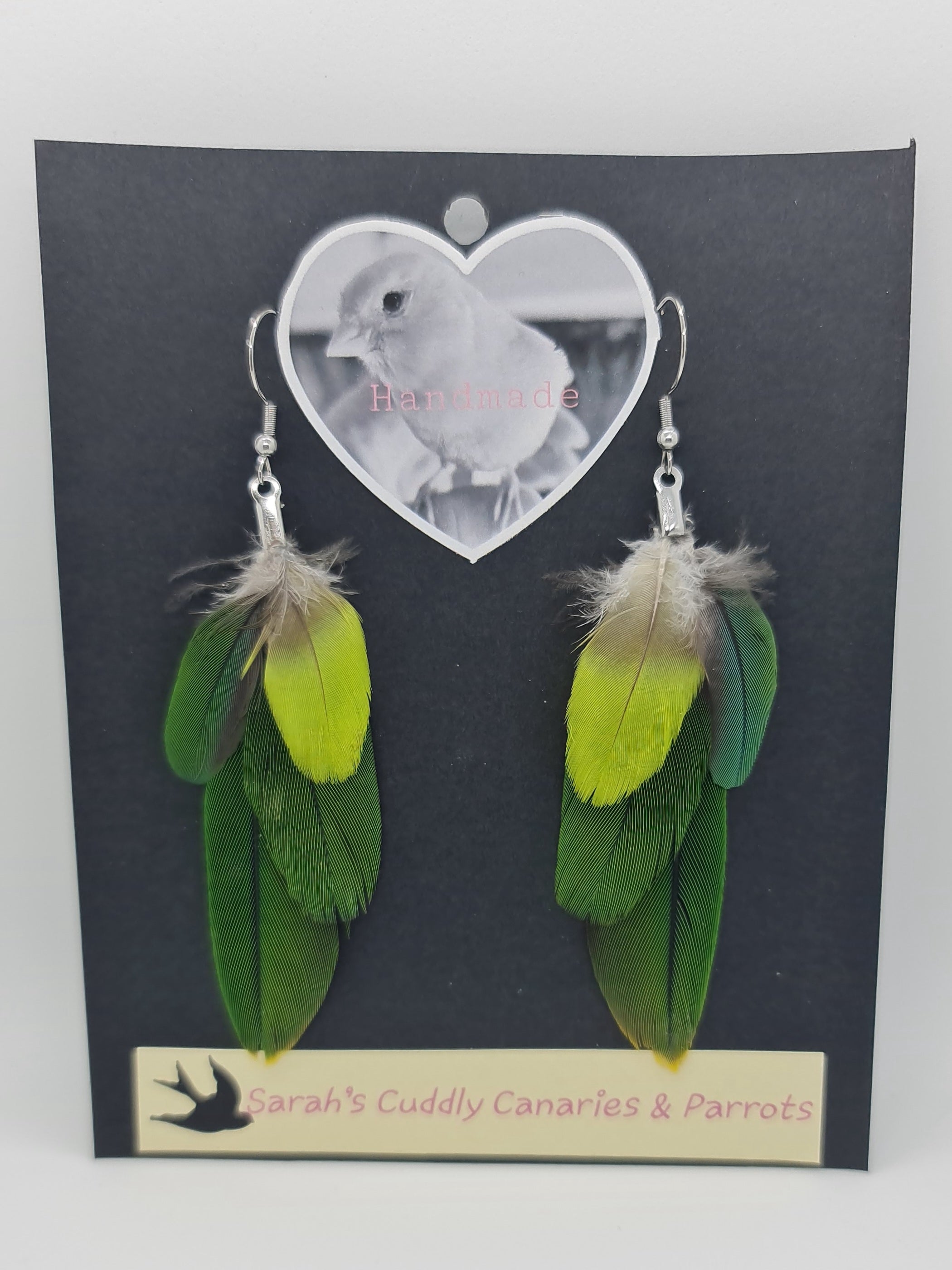 Bonsny Acrylic Green Naked-eyed Cockatoo Parrot Earrings Drop Dangle New  Bird Jewelry For Women Girls Friends Party Charms Gift - AliExpress