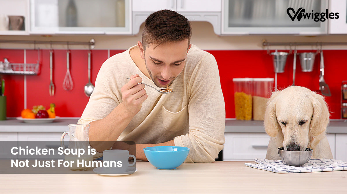 a man and his dog drinking chicken soup on a winter evening with the words Chicken Soup Is Not Just For Humans