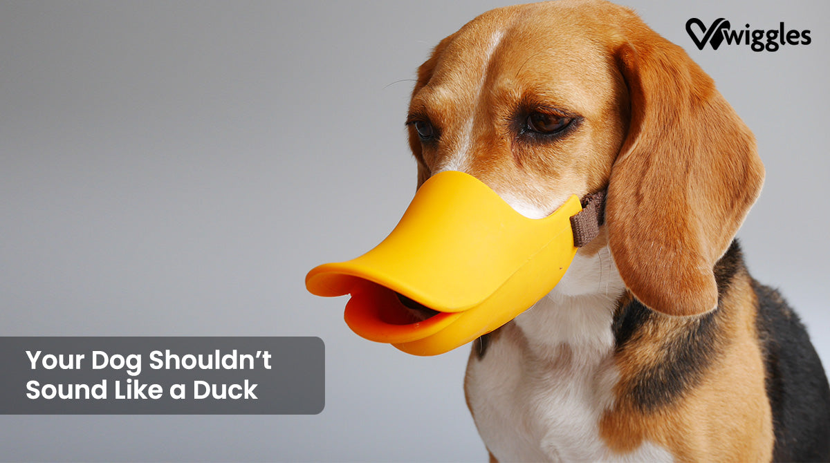 a dog with the beak of a duck with the words Your Dog Shouldn’t Sound Like A Duck