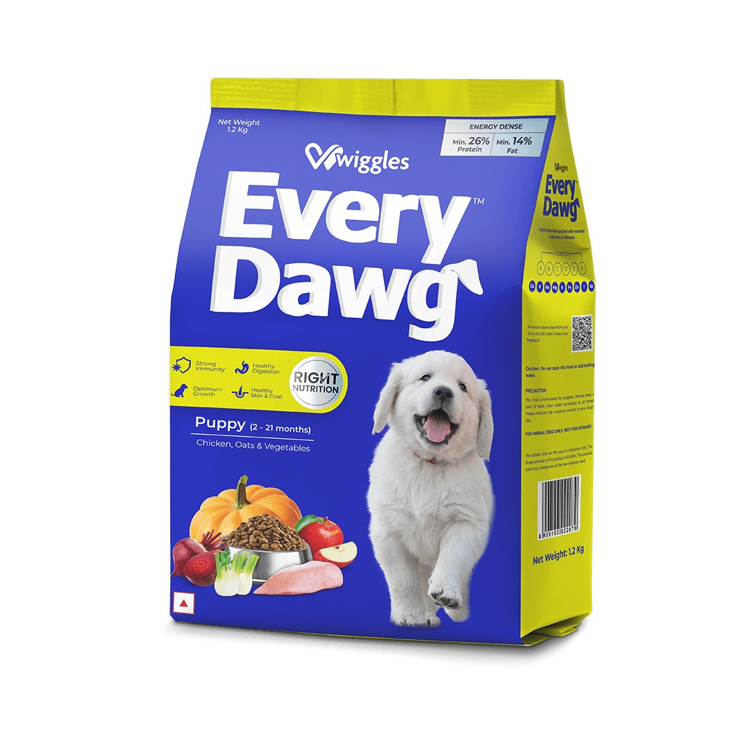 when to feed puppies dry dog food