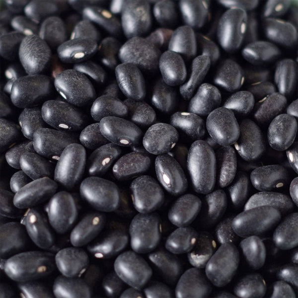 5 Gallon SP Black Beans 35 lbs (Store Pickup Only) - BeReadyFoods.com