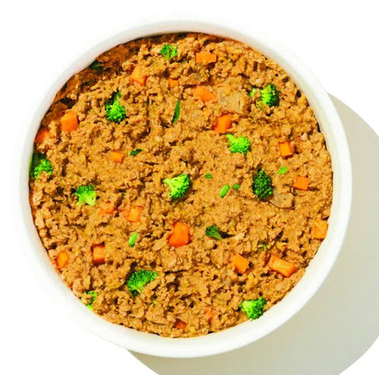 fresh dog food in a bowl