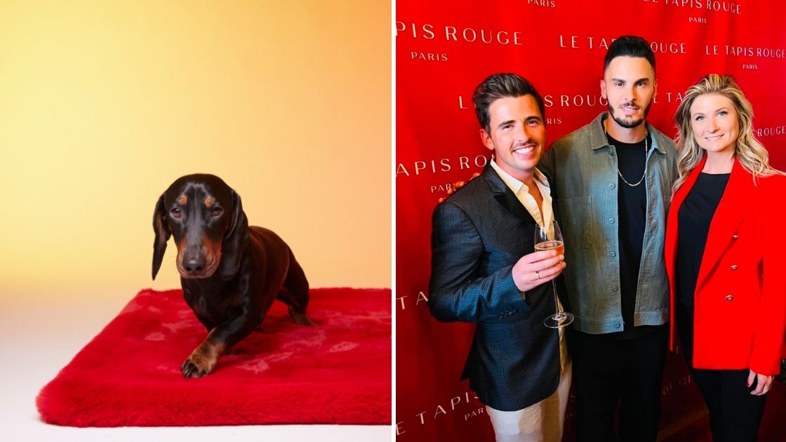 Le Tapis Rouge Paris on the Woopets website