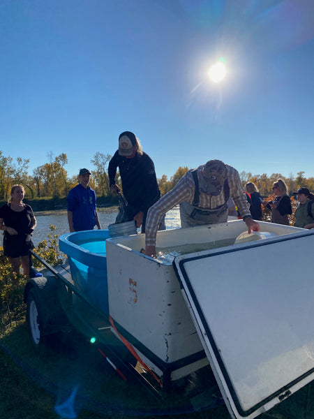 People of varying generations gather around a constructed holding tank for fish rescued from the irrigation canal. The sun is shining in the background and the skies are clear blue as volunteers work together to get the fish back into the Oldman River. 