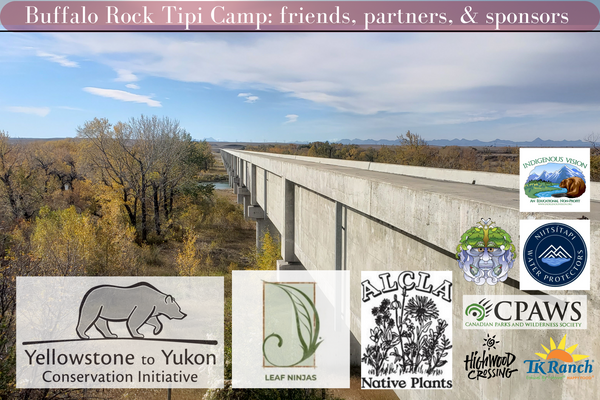 Buffalo Rock Tipi Camp is sponsored by the Yellowstone to Yukon Conservation Initiative, ALCLA Native Plants, Leaf Ninjas and is proud to be partnered with TK Ranch, Highwood Crossing, Oldman Watershed Society and friends like Indigenous Vision and Niitsitapi Water Protectors.