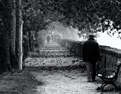 Black and white picture of an man walking in a park