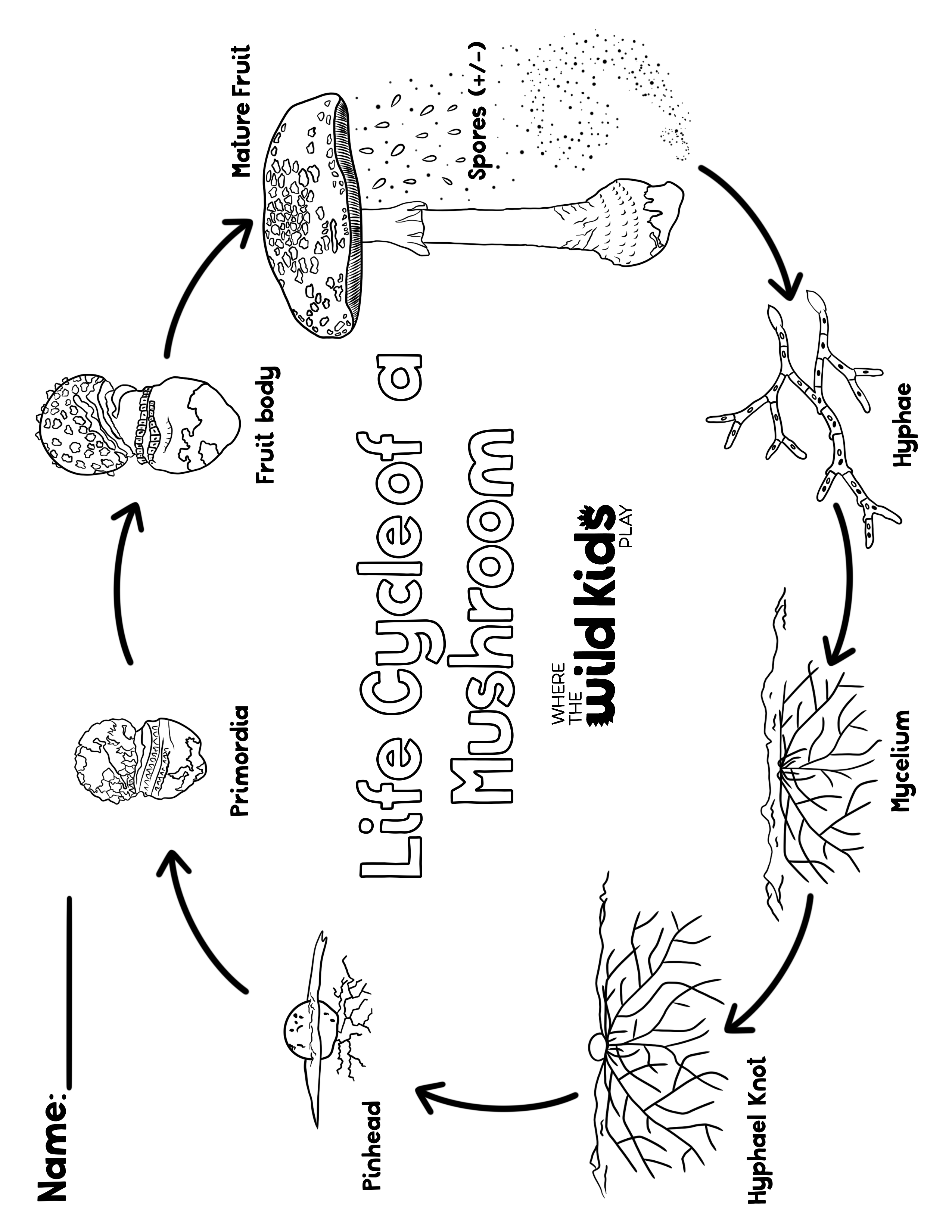 Spring Coloring Pages-4.png__PID:ddbb3037-f5ac-4fd6-a7a4-4fa54310092a