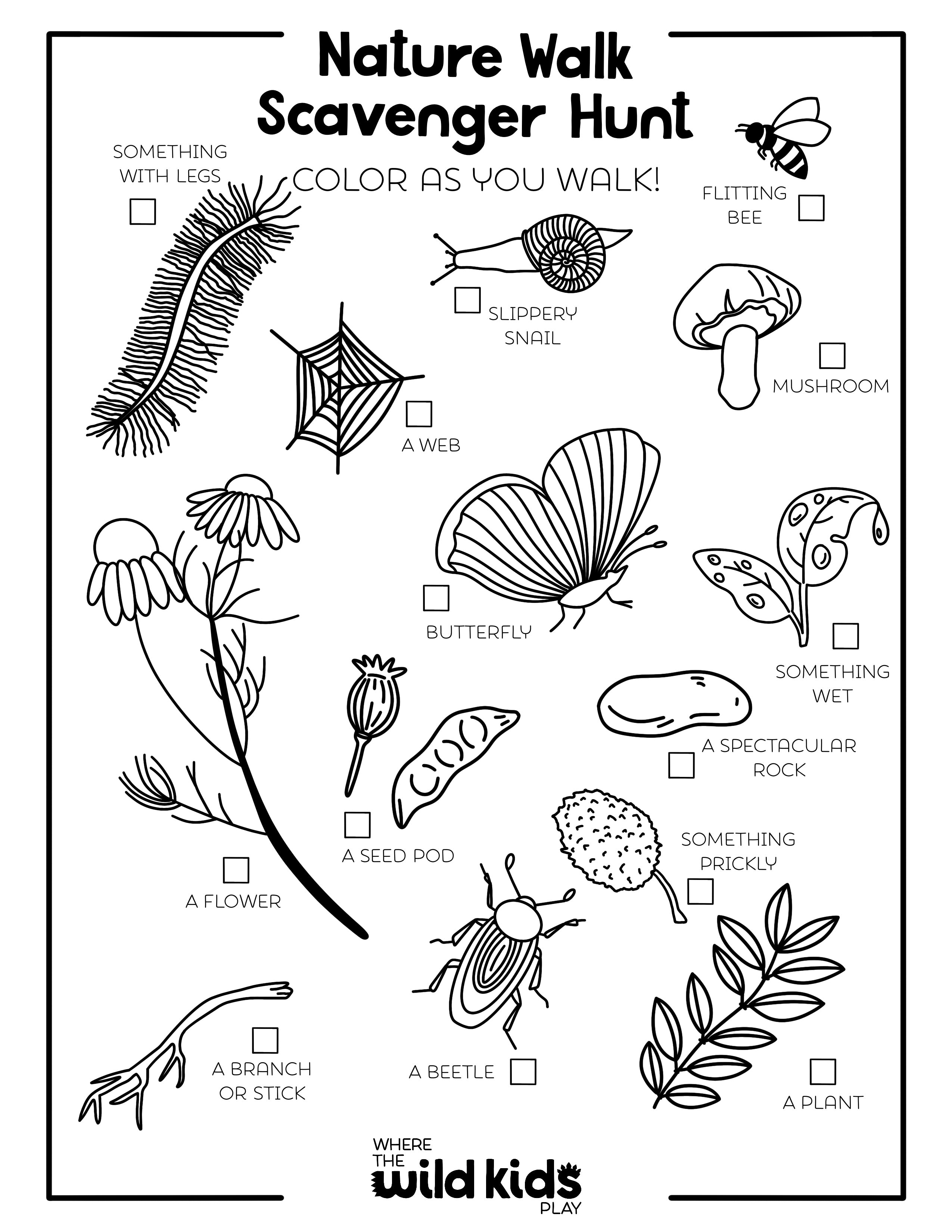 Spring Coloring Pages-5.jpg__PID:1232045a-50d0-4712-b689-17ddbb3037f5
