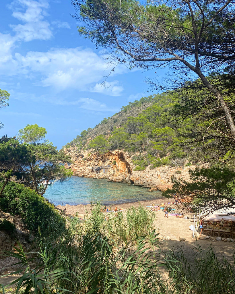 North Ibiza Landscape