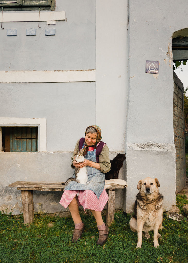 Lavinia Cernau Travel Photography Transylvania Romania