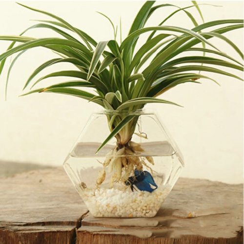Hexagonal glass hanging vase