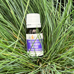 LAvender essential oil bottle from French Aroflora laying in green grass