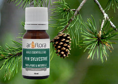 Organic Pine essential oil from French Aroflora on a background of a pine branch with a pine cone