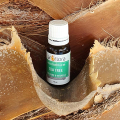 Tea Tree essential oil standing in the trunk of a palm tree