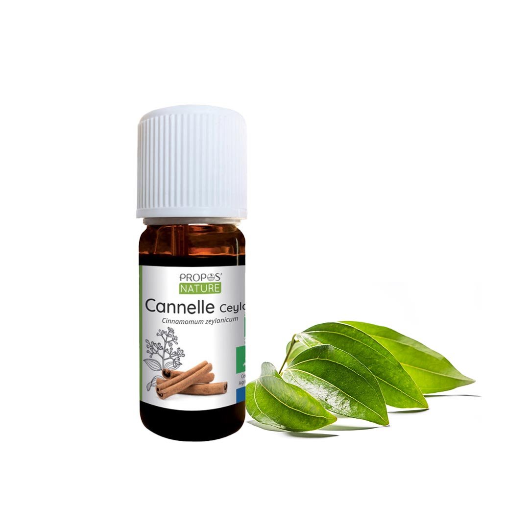 Cinnamon Organic Essential Oil, 10ml