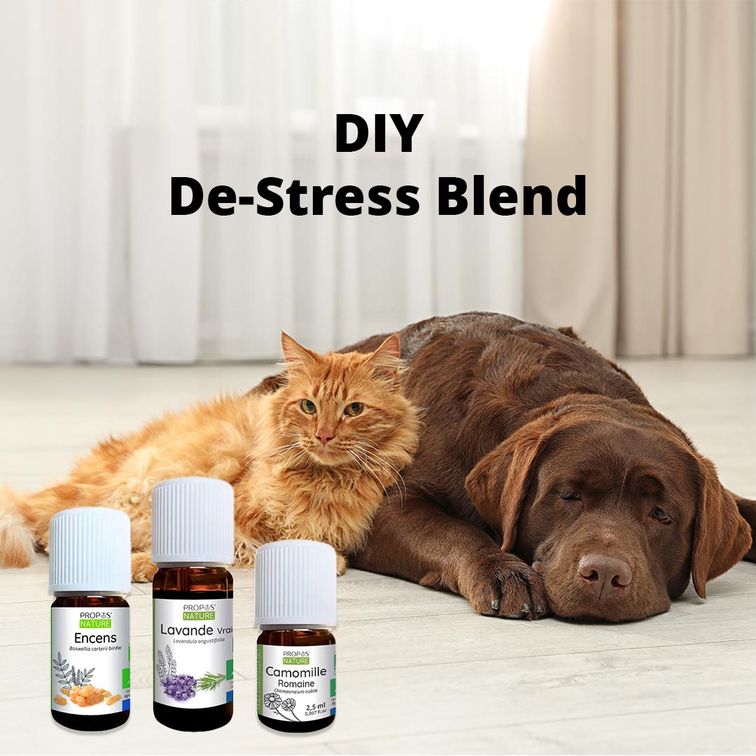 DIY Diffuser Blend - De-Stress