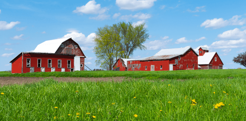 Green farmland and pastures for Kendamil grass fed cows