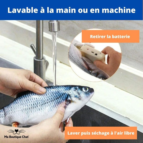 Poisson Interactif Pour Chat