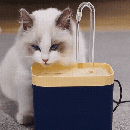 Fontaine à eau pour chat  CatWater™ – Ma Boutique Chat