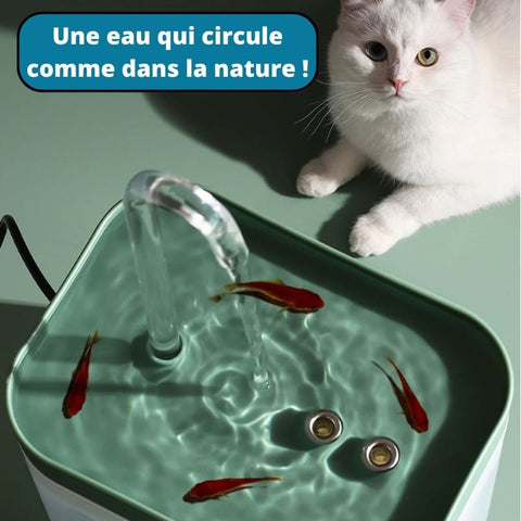 Fontaine à eau pour chat Catit - De l'eau pure et fraîche - Shop Animalia